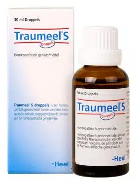 Traumeel S 100 ml Heel