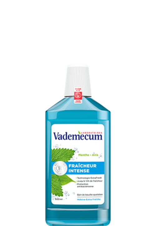 Fraicheur intense MONDSPOELING 500ml Vademecum