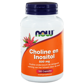 Choline en inositol 500 mg 100 vegi-caps NOW