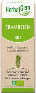 Frambozenstruik rubus idaeus 50 ml Herbalgem