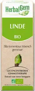 Linde tilia tomentosa gemmae 50 ml Herbalgem