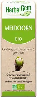 Meidoorn crataegus oxy gemmae 50 ml Herbalgem