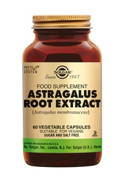 Astragalus Root Extract 60 stuks Solgar