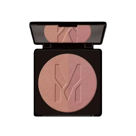 Artist Powder Blush (duo blusher) Rosy Touch 8,5 g Make up Factory