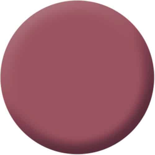 Magnetic Lips Pink Blush 4 g Make up Factory