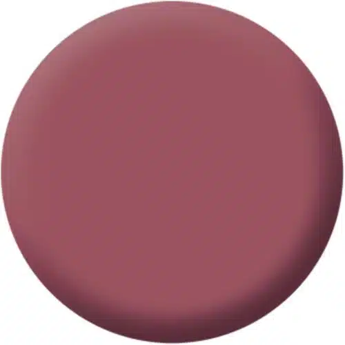 Magnetic Lips Pink Blush 4 g Make up Factory