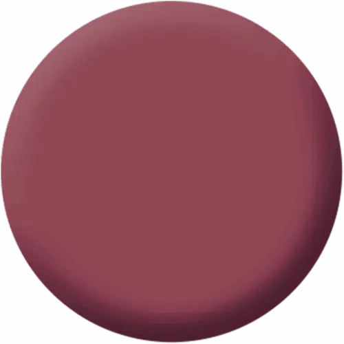 Magnetic Lips Rose Garden 4 g Make up Factory