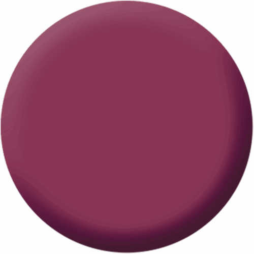 Magnetic Lips Ruby Lips 4 g Make up Factory