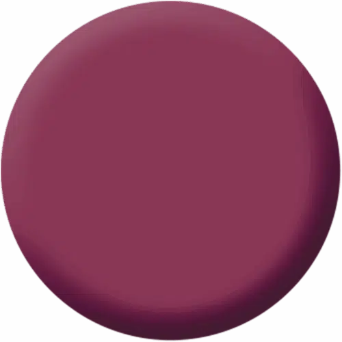 Magnetic Lips Ruby Lips 4 g Make up Factory