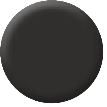 Magnetic Lips Timeless Black 4 g Make up Factory