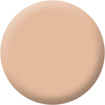 Oil Free Foundation Rosy Porcelain 20 ml Make up Factory