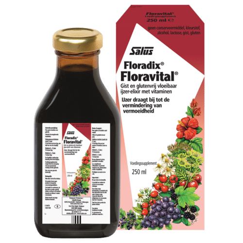 Floradix ijzer elixer 250 ml Salus