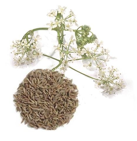 Komijn zaad heel 30 gram