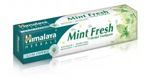 Mint fresh kruiden tandpasta 75 ml Himalaya